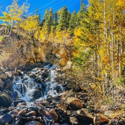 Guanella Pass Scenic Byway