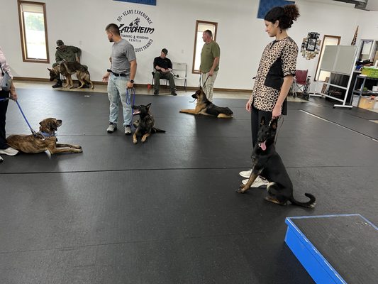 Landheim Training & Boarding