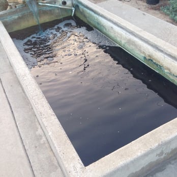 Orange County Mosquito and Vector Control District - Ornamental fish pond in the parking lot. - Public Services & Government Near Me - Garden Grove, California Orange County Mosquito and Vector Control District - Ornamental fish pond in the parking lot. - Public Services & Government Near Me - Garden Grove, California