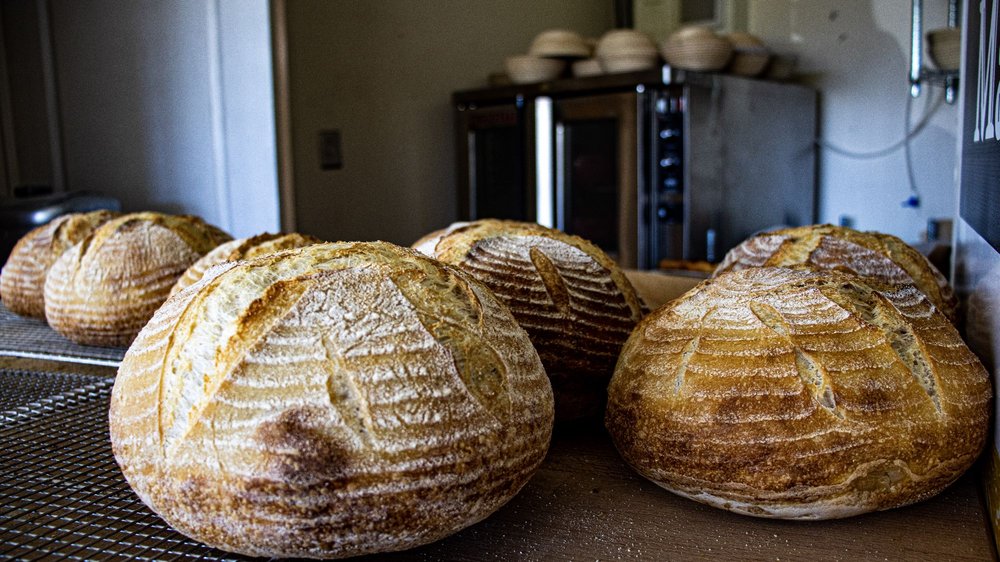 SOURDOUGH BREAD HOUSE 373 Photos & 220 Reviews 5761 US Hwy 17/92