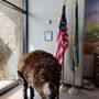 Photo of Big Bear Discovery Center