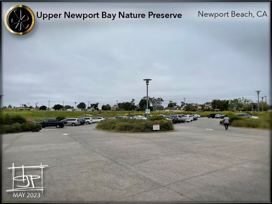 Upper Newport Bay Nature Preserve by null