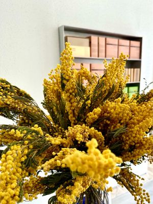 Aesop Abbot Kinney by null