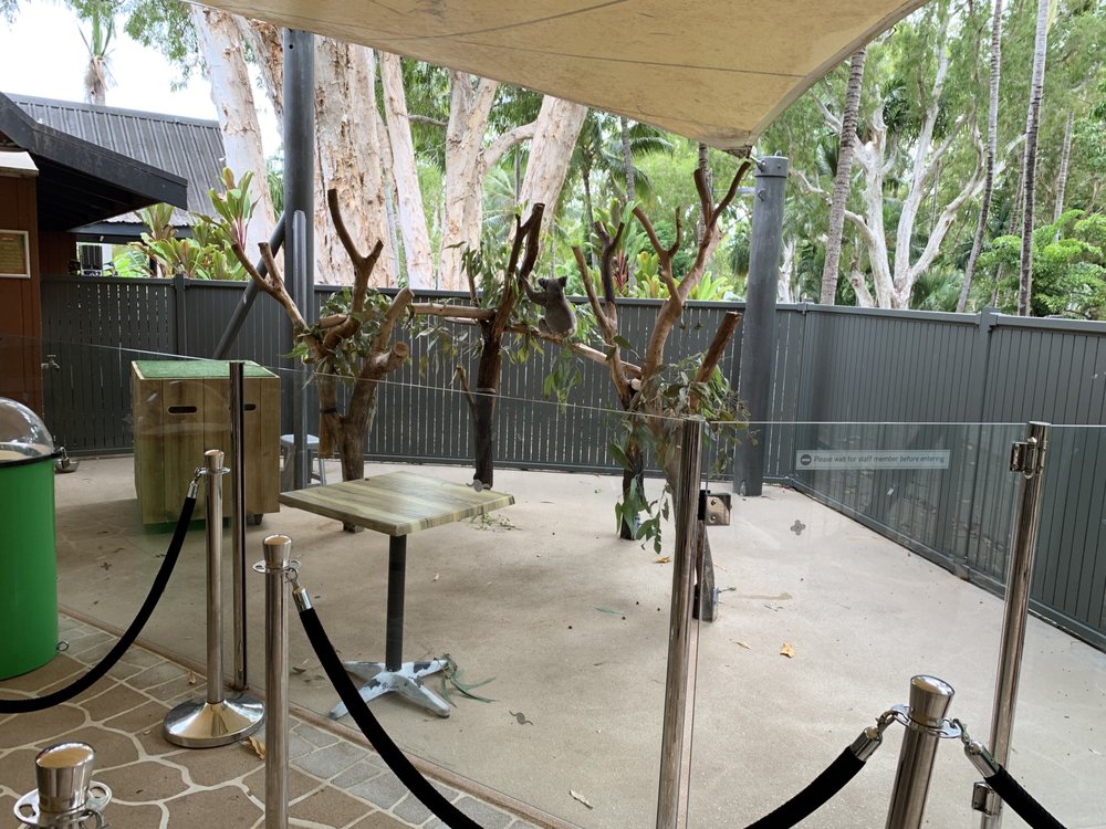 HAMILTON ISLAND WILDLIFE PARK Updated March 2024 44 Photos & 12