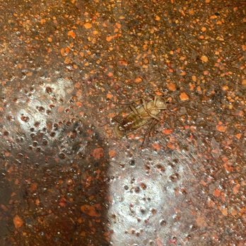 Bushfire Kitchen - Menifee - a fire hydrant in the rain - Gluten-Free Near Me - Menifee, California