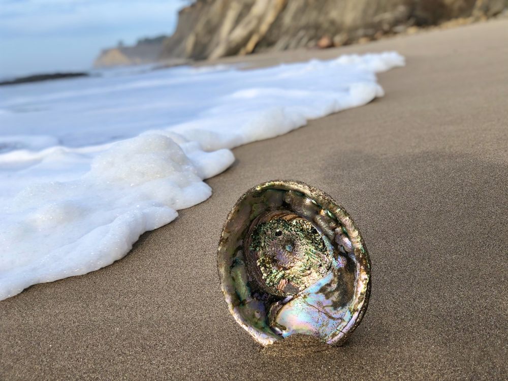 BOWLING BALL BEACH 108 Photos & 33 Reviews Beaches Schooner Gulch