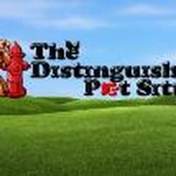 The Distinguished Pet Sitter