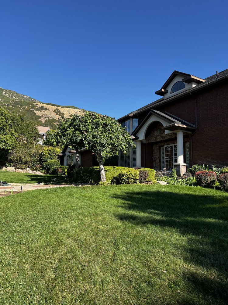 Ernesto's Tree Service - tree service in West Haven, UT