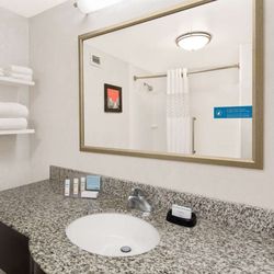 Hampton Inn Atlanta-Georgia Tech-Downtown - Guest room bath