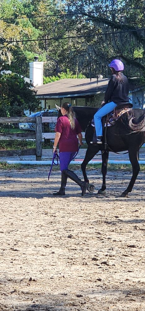 L-N-K Performance Horses - equestrian in Bloomingdale, GA