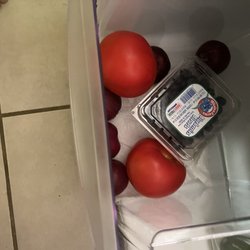 Eckerts Farm Stands - Jersey Tomatoes