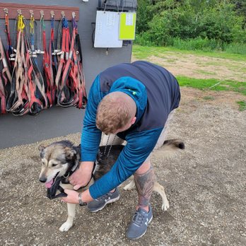 Black Spruce Dog Sledding - Sledding Near Me - Fairbanks, Alaska