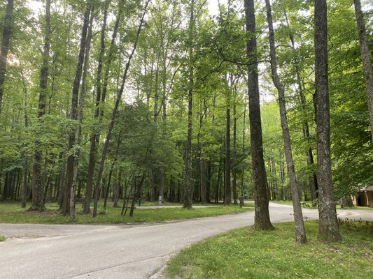 Meeman-Shelby Forest State Park by null