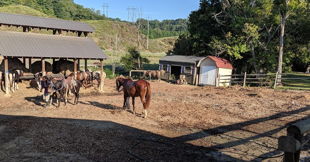 Goldrush Stables - equestrian in Pigeon Forge, TN