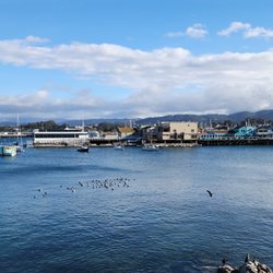 George Moring - Arbor Financial Group - Harbor and Warf from the walking path