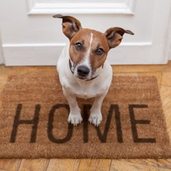 Karen Miller, Realtor