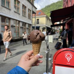 Hallaisen