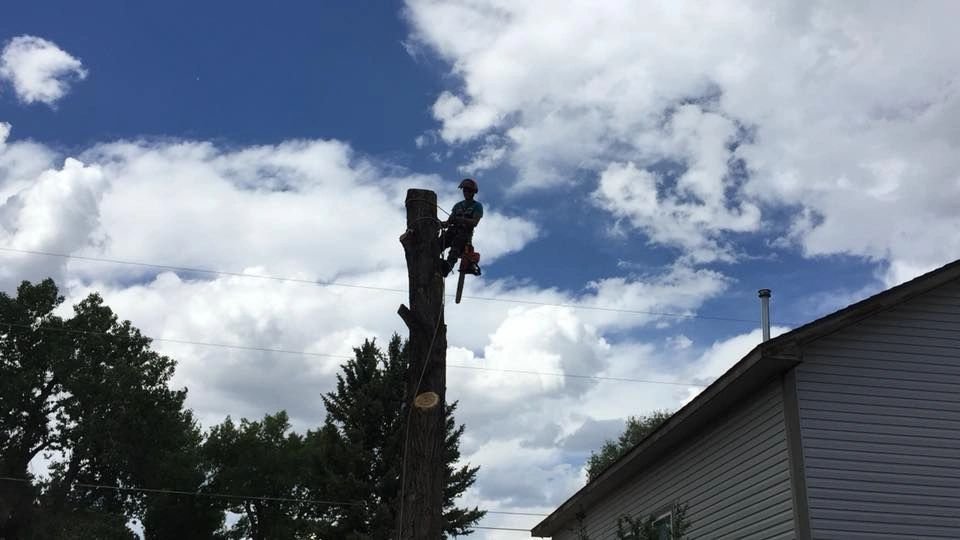 TOP LEAF TREE CARE Parshall, Colorado Tree Services Phone Number