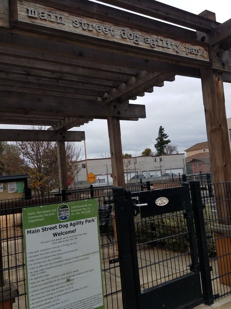 main street dog agility park