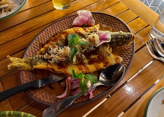 Padaek Arlington Ridge by null