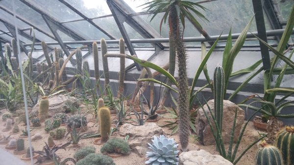 Botanical Garden of the University of Wrocław by null