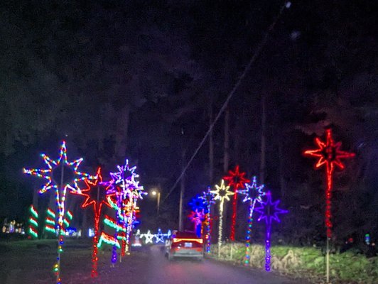 The Lights of Christmas by null