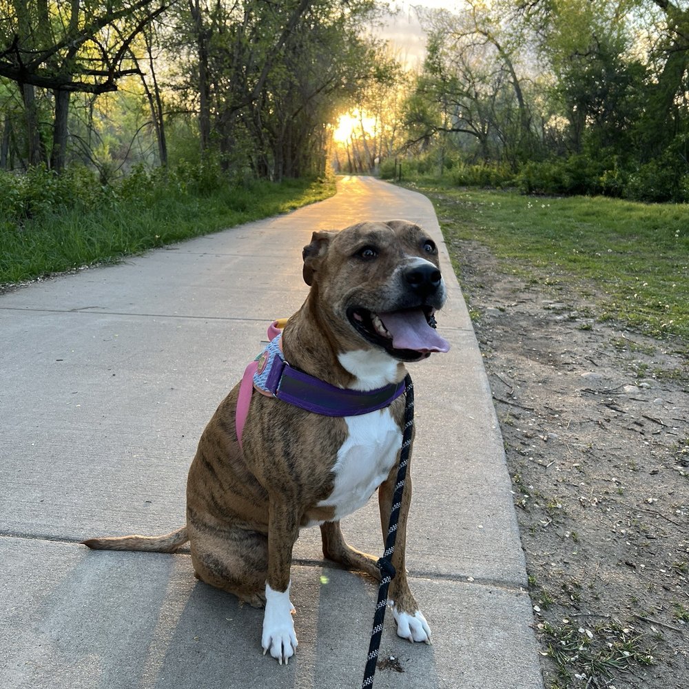 Anderson Park - Parks Near Me - Wheat Ridge, Colorado