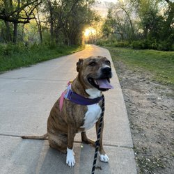 Anderson Park