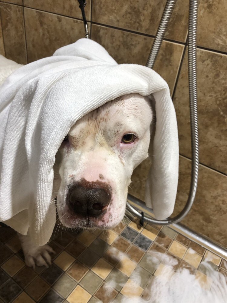 CONCORD PET FOODS AND SUPPLIES 14 Photos & 20 Reviews 1080 Nixon Dr