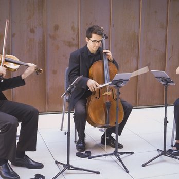 EdgeWire Music - EdgeWire Music provides string quartet, trio, duo, and solos in Columbia SC, Charleston SC, Greenville SC, NC, and GA! edgewiremusic.com - Musicians Near Me - North Charleston, South Carolina EdgeWire Music - EdgeWire Music provides string quartet, trio, duo, and solos in Columbia SC, Charleston SC, Greenville SC, NC, and GA! edgewiremusic.com - Musicians Near Me - North Charleston, South Carolina