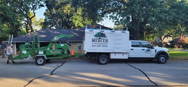 ⭐️ Expert Tree Removal Service 🌳 - When you need a tree removed from your property you need a professional to do it for you. You want peace of mind that they have removed the entire tree without uprooting your entire yard. You also want a company you know is going to remove it with ease and professionalism. Here at Mercer Tree Service in North Richland Hills, TX, we will always treat your property as if it is our own.
Sometimes, you just need a tree removed. The branches may be threatening to fall on your home or on electrical lines, or the tree itself may be in danger of falling. Additionally, you may simply want to free up more space in your yard or change up the appearance of your yard. Give us a call for tree removal and tree hauling services in North Richland Hills and surrounding areas. ⭐️ Expert Tree Removal Service 🌳 - When you need a tree removed from your property you need a professional to do it for you. You want peace of mind that they have removed the entire tree without uprooting your entire yard. You also want a company you know is going to remove it with ease and professionalism. Here at Mercer Tree Service in North Richland Hills, TX, we will always treat your property as if it is our own.
Sometimes, you just need a tree removed. The branches may be threatening to fall on your home or on electrical lines, or the tree itself may be in danger of falling. Additionally, you may simply want to free up more space in your yard or change up the appearance of your yard. Give us a call for tree removal and tree hauling services in North Richland Hills and surrounding areas.