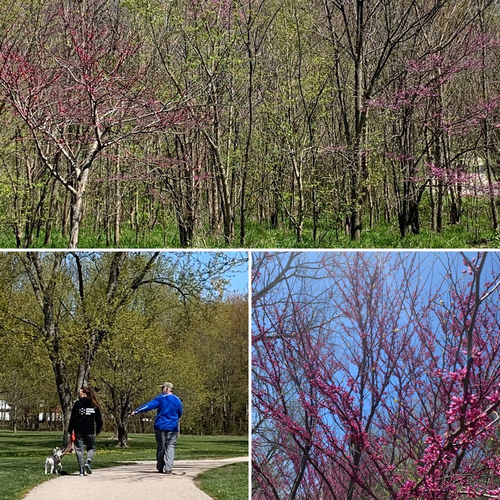 SOUTHEASTWAY REGIONAL PARK 119 Photos & 29 Reviews 5624 South