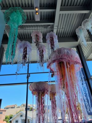 Monterey Bay National Marine Sanctuary Exploration Center by null