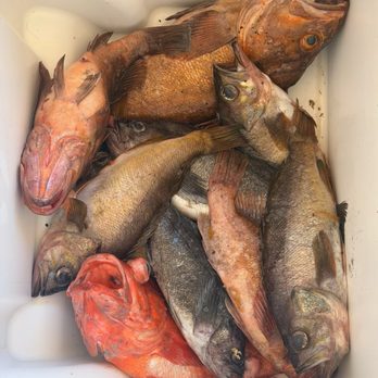 Fish Emeryville - First time fishing for rockfish and more. - Fishing Near Me - Emeryville, California