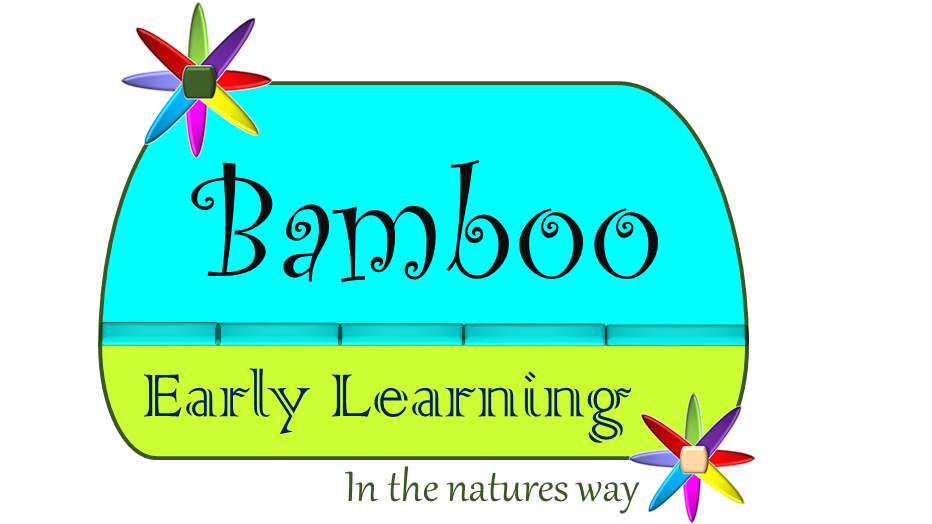 Bamboo Early Learning - childcare center in Hamel, MN