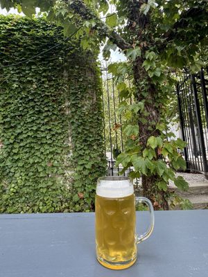 Urban Chestnut Midtown Brewery and Biergarten by null