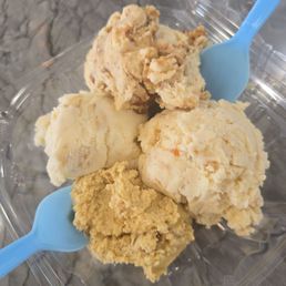 4 scoop Sampler 4 scoop Sampler
