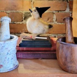 3 Ring Traveling Apothecary