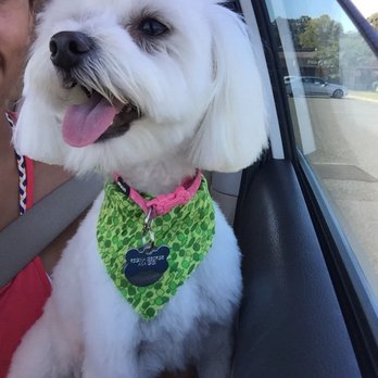 What the Floof - Pet Groomers Near Me - Red Bank, New Jersey What the Floof - Pet Groomers Near Me - Red Bank, New Jersey