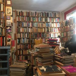 Sterre Der Zer - Book lovers paradise