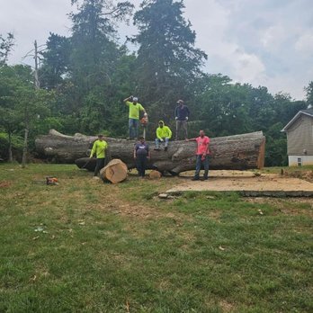 JC Tree Services and Landscaping - Lawn Services Near Me JC Tree Services and Landscaping - Lawn Services Near Me