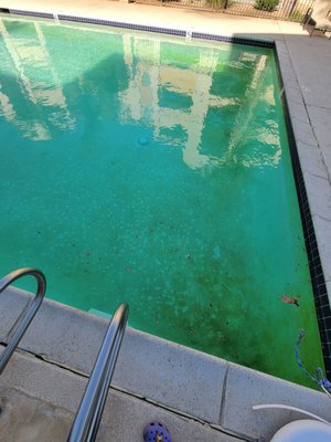 La Pacifica Apartments by null