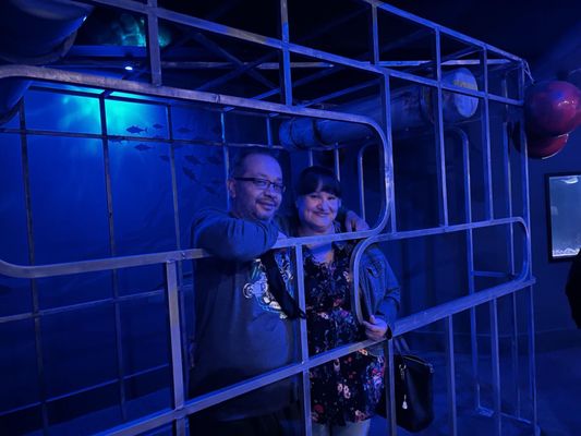 Texas State Aquarium by null