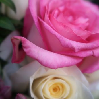 Flowergarden118 - Florists Near Me - Denton, Texas