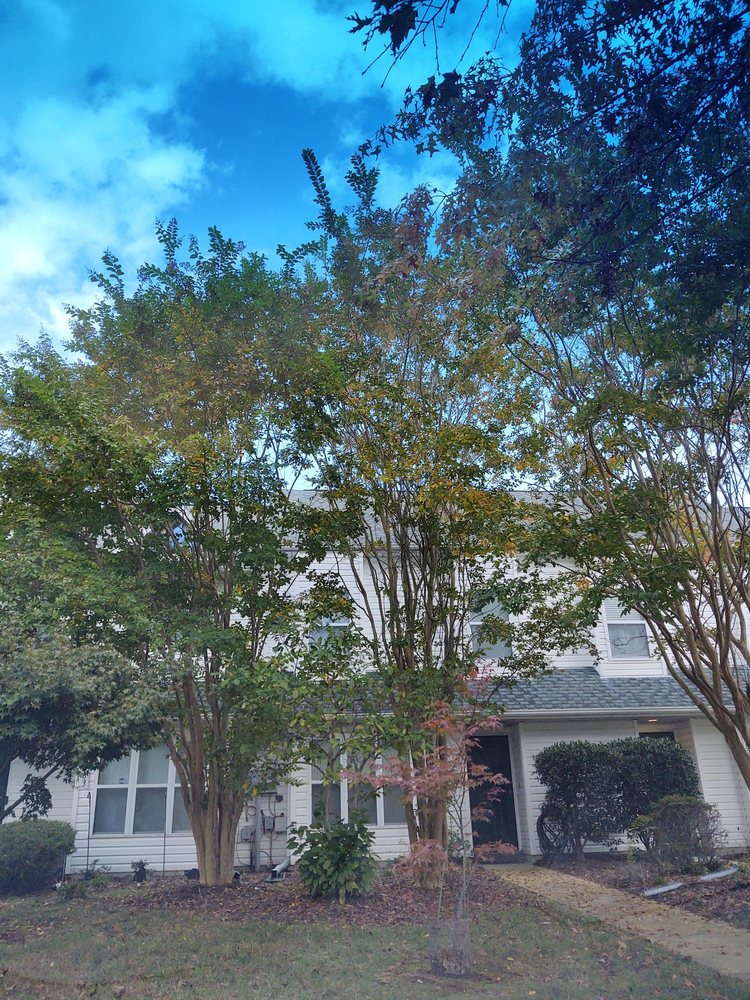 YOUR MEMORIES REMEMBERED Updated October 2024 48281 Picketts Harbor