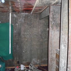 Elite Restoration - Water evaporation causing mold damage.