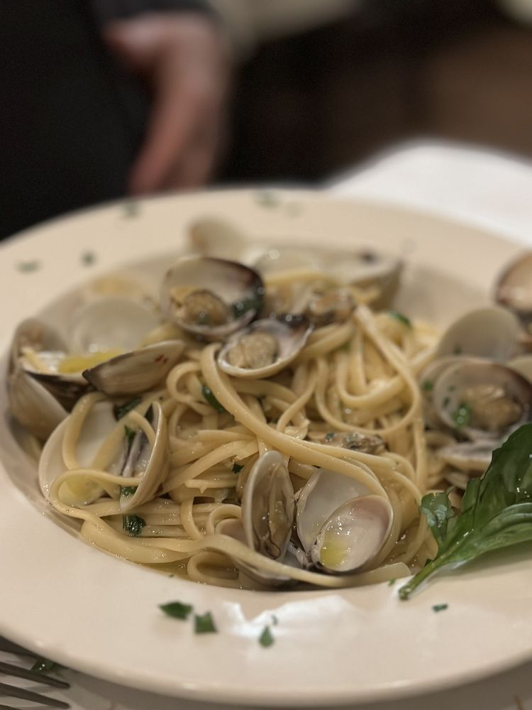 BASIL BRICK OVEN PIZZA Updated September 2024 443 Photos & 565 Reviews 2817 Astoria Blvd