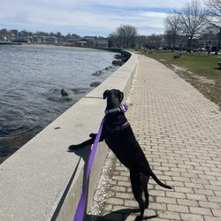 King Park - Ellie loves walking here!