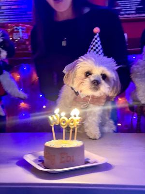 Cody's Public House by null