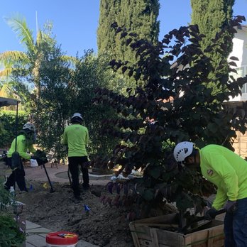 Moon Valley Nurseries - Tree Services Near Me - Irvine, California